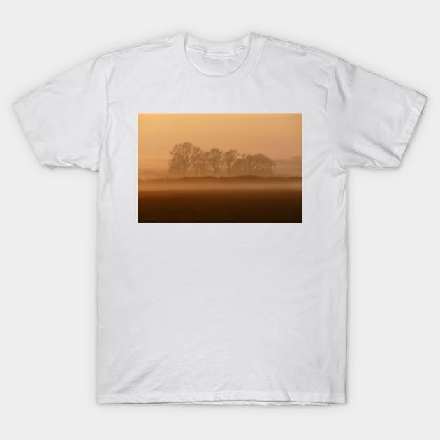 Morning mist T-Shirt by Chris Petty